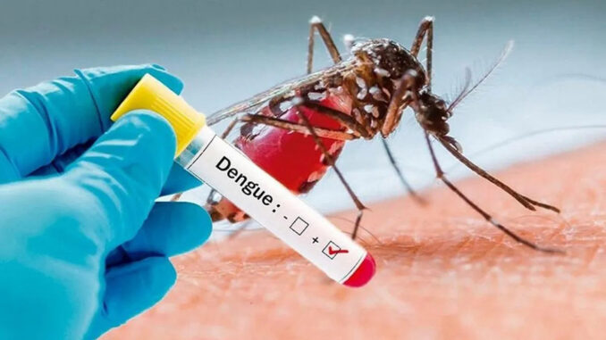 Desarrolla Cuba prueba rápida de detección del dengue