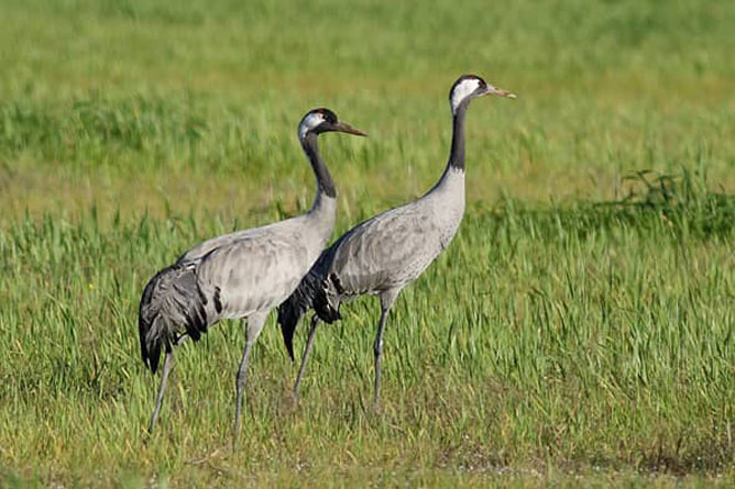 El Venero, important protected area in the central province of Cuba