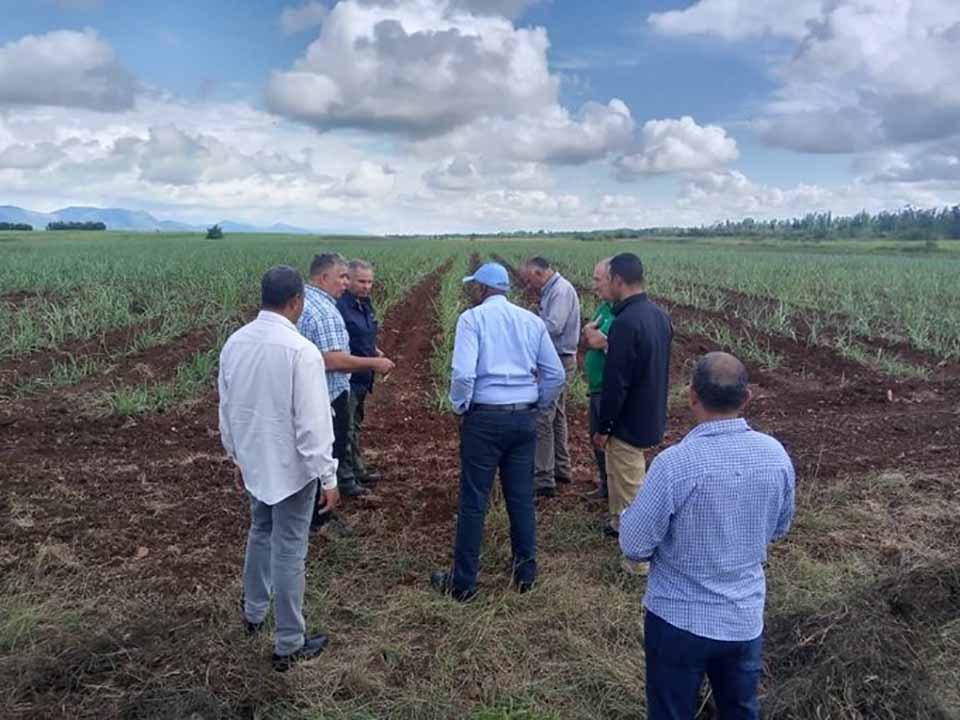 Autoridades cubanas visitan objetivos económicos en Artemisa