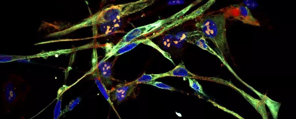 Scientists manage to transform aggressive cancer cells into healthy ones
