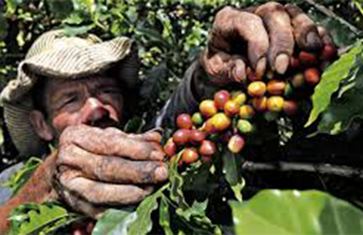 Imagen no encontrada