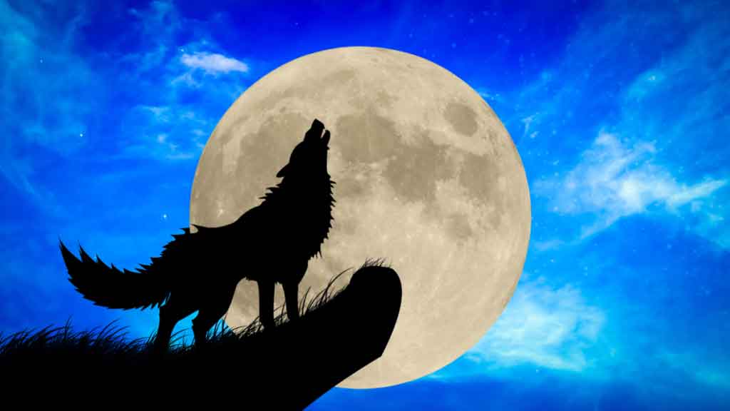 Imagen no encontrada