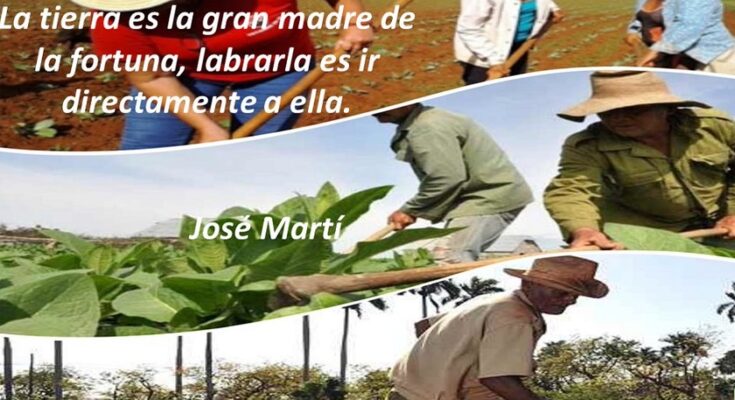 Celebración camagüeyana por el Día del Campesino será en el municipio de Florida 
