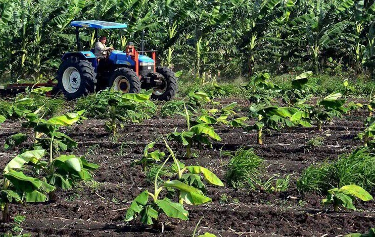 Camagüey aspira a concretar proyecciones de Gobierno