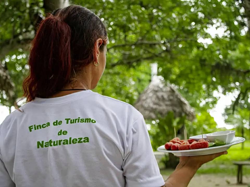 Imagen no encontrada