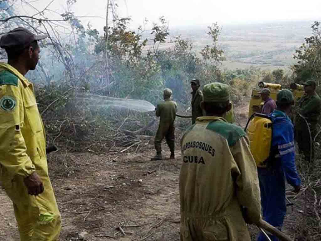 Forest fire extinguished in western area of Cuba 
