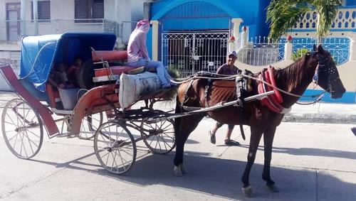 Imagen no encontrada