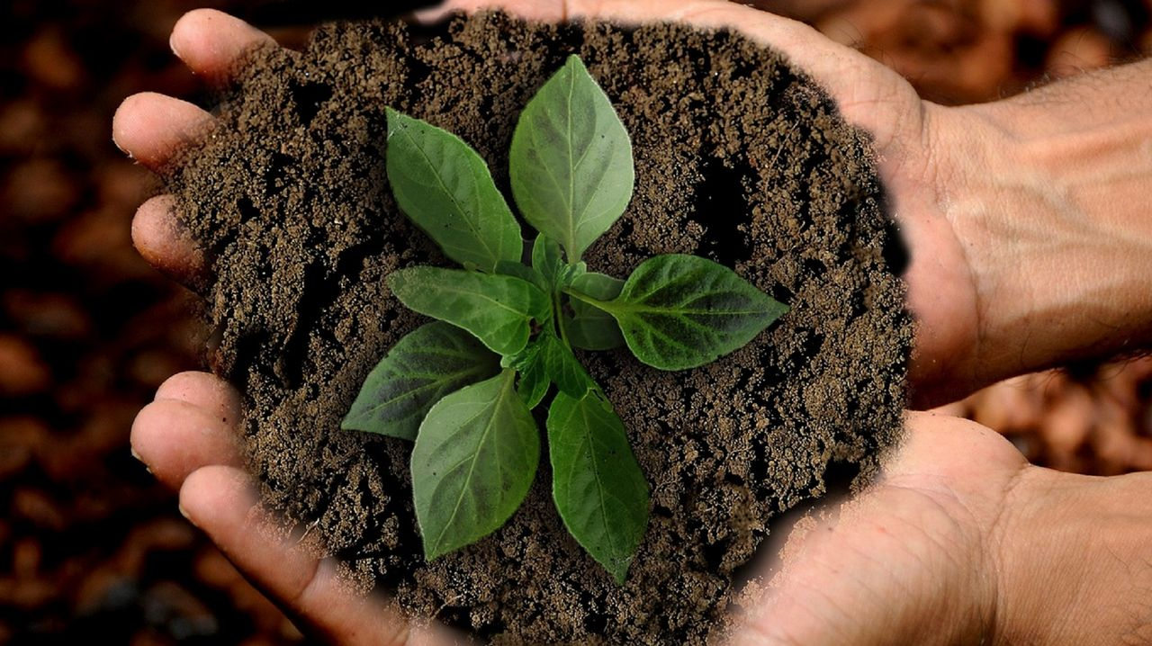 Convoca Asociación Cubana de Técnicos Agrícolas y Forestales  al Concurso ConCienci@ Verde