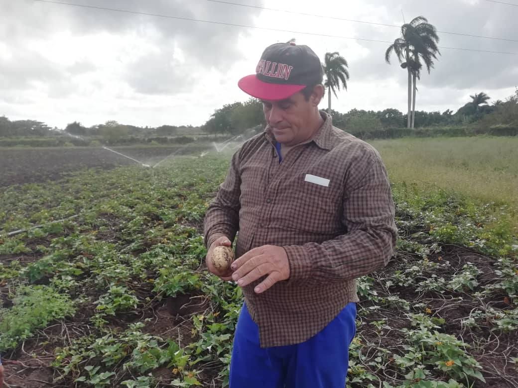 Alberto Hernández: un campesino eficiente