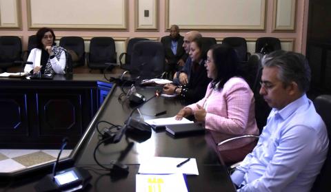 Consejo de Estado cronograma para reimpulsar la economía