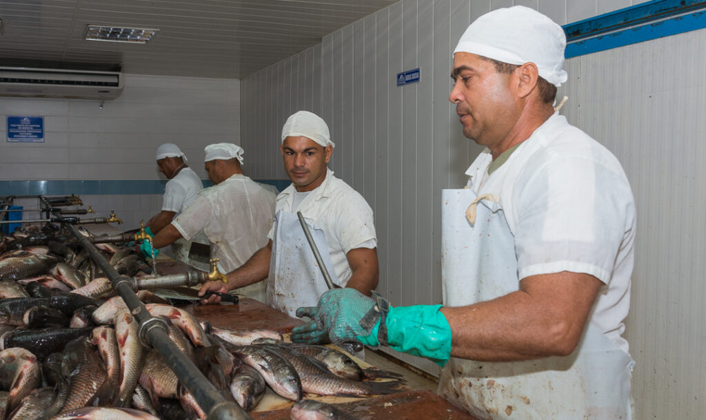 Empresa Pesquera Camagüey exhibe resultados positivos
