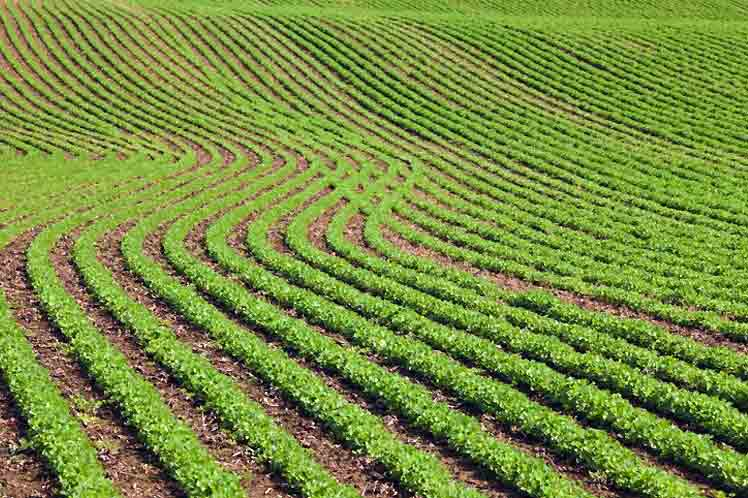 The Caribbean is committed to adapting its agriculture to climate change