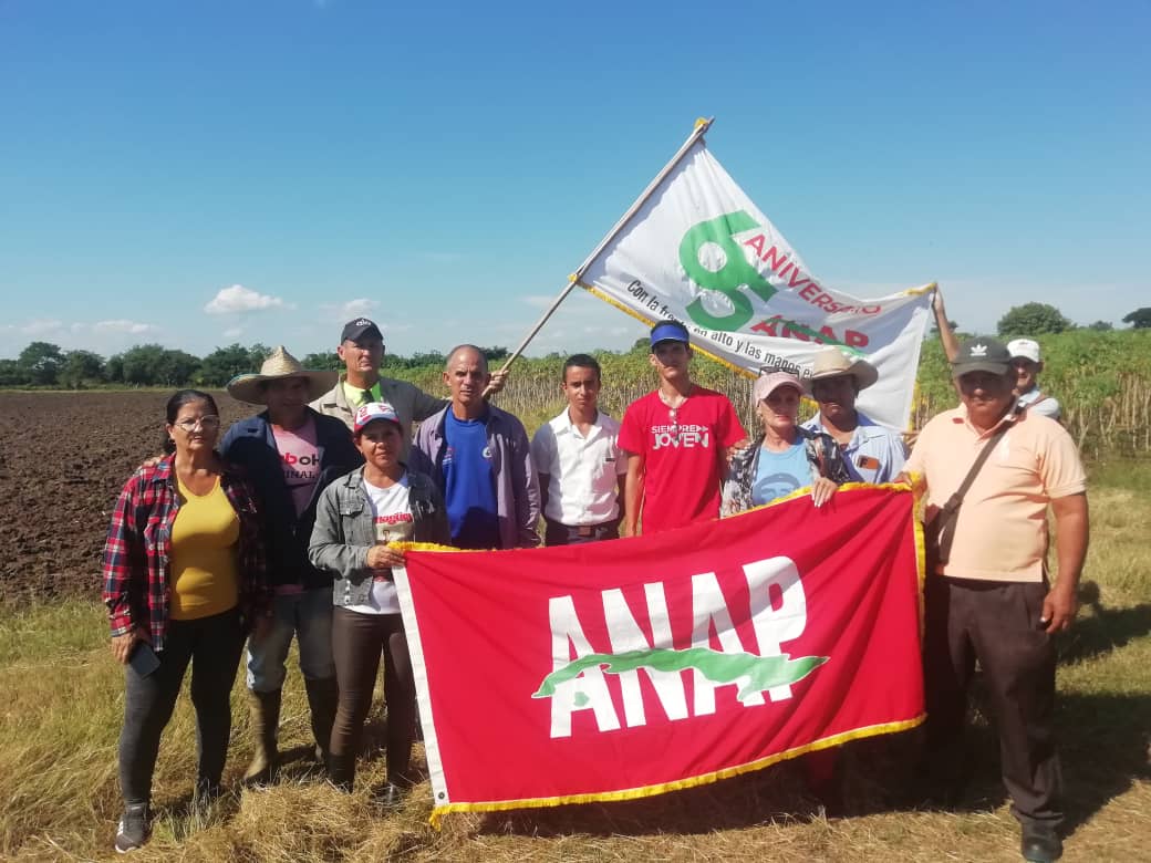 Imagen no disponible