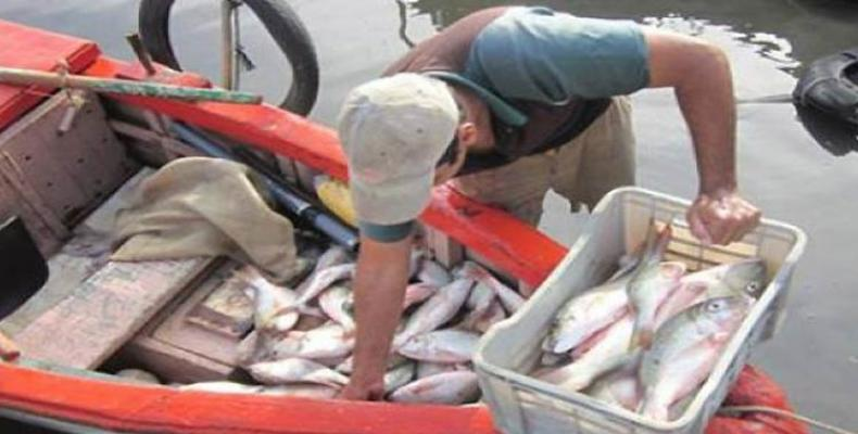 Camagüey Fishing Company: excellence in food for the people