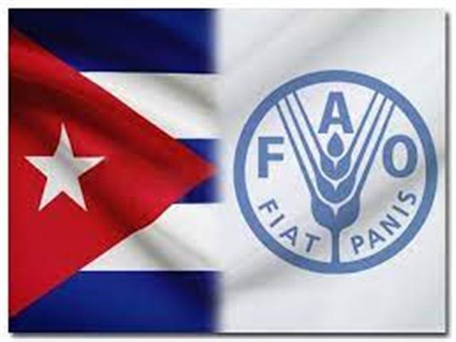 Facilitan agroecología en Cuba, asegura la FAO