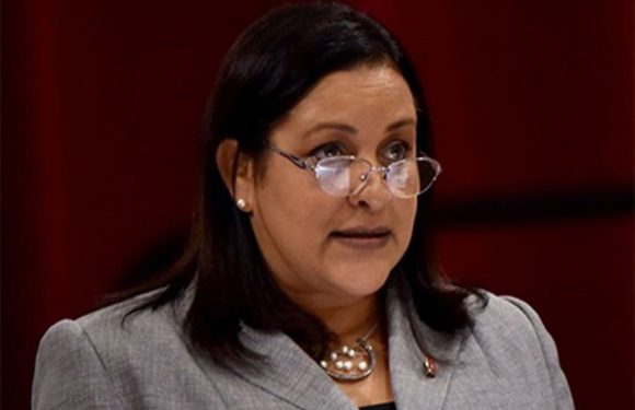 Imagen no encontrada