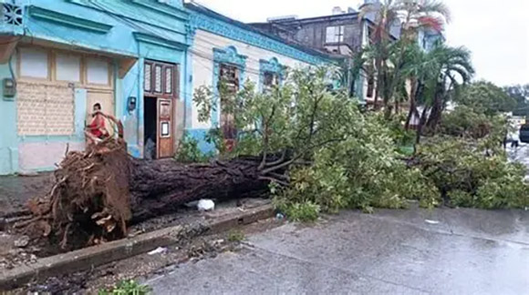 Imagen no encontrada