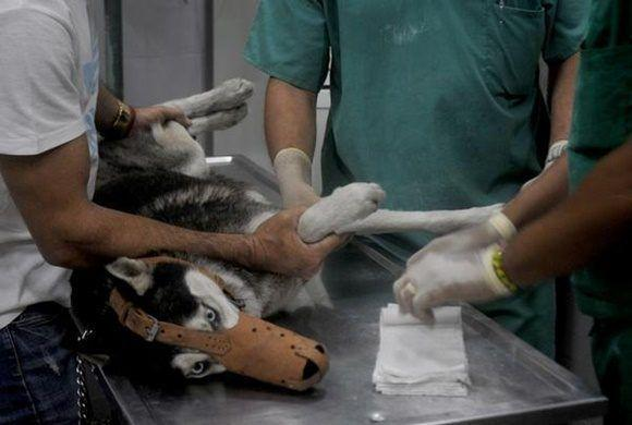 Imagen no disponible