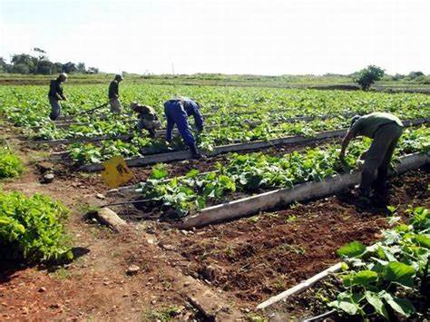 Primero de Mayo motiva a trabajadores camagüeyanos