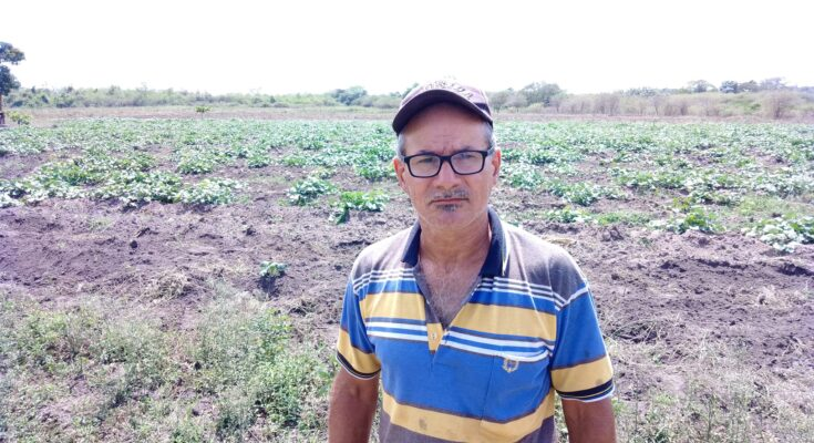 Julián Díaz, ejemplo de perseverancia en la finca La Caridad