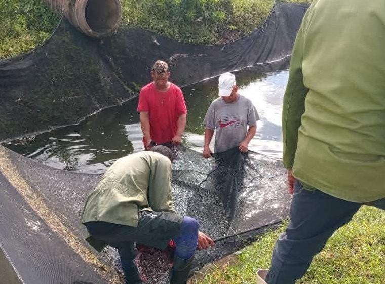 Imagen no encontrada