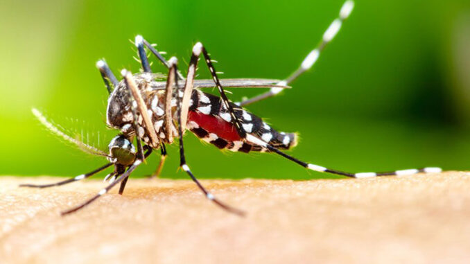 Imagen no encontrada