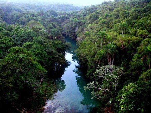  Camagüey advances in sustainability and protection of its biodiversity 