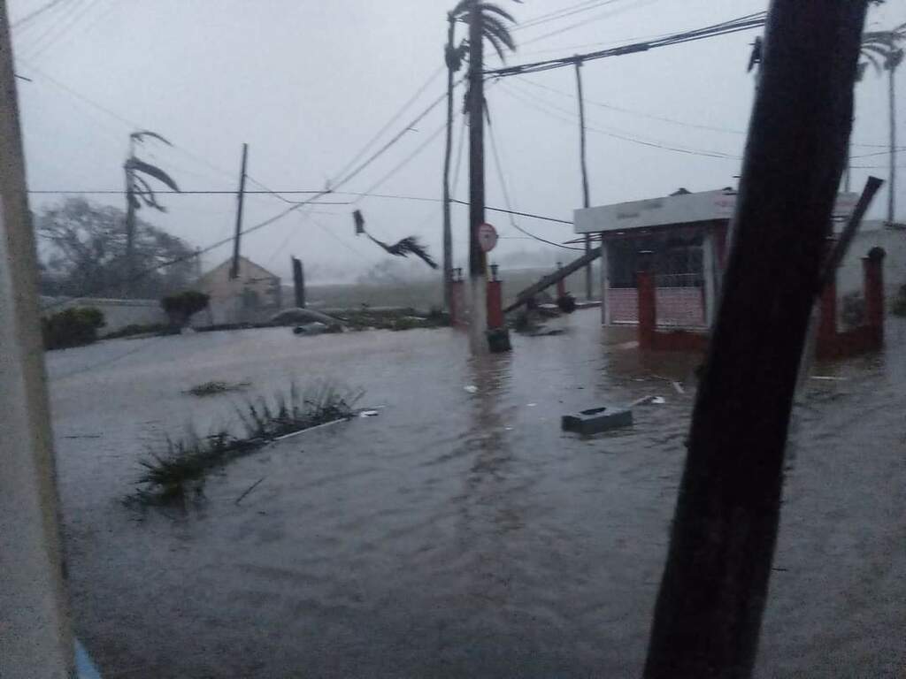 Imagen no disponible