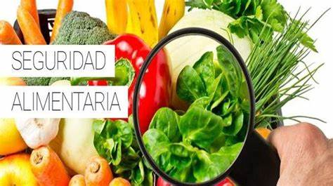 Imagen no encontrada