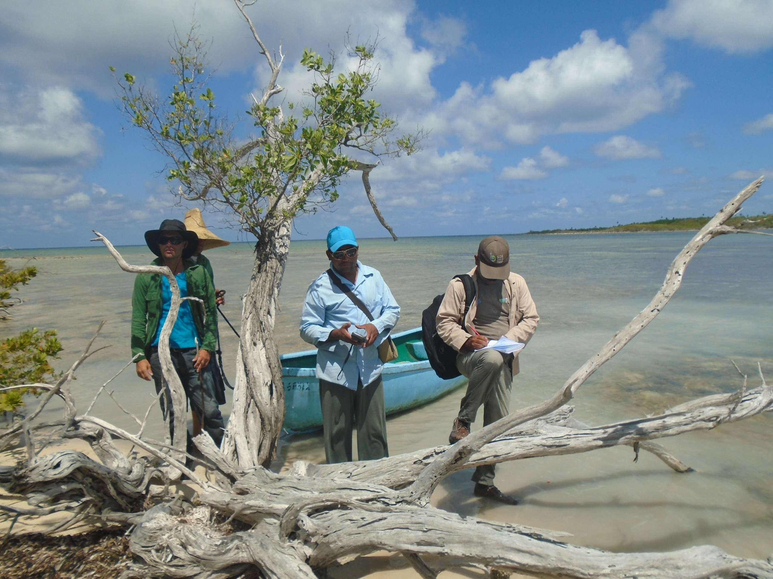 Realizan acciones de conservación medioambiental en áreas protegidas de Camagüey (+ Fotos)