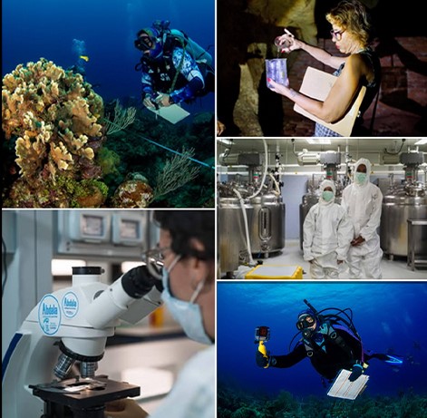 Extiende Cuba programas de ciencia e innovación hasta 2028