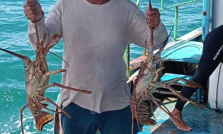 Imagen no encontrada