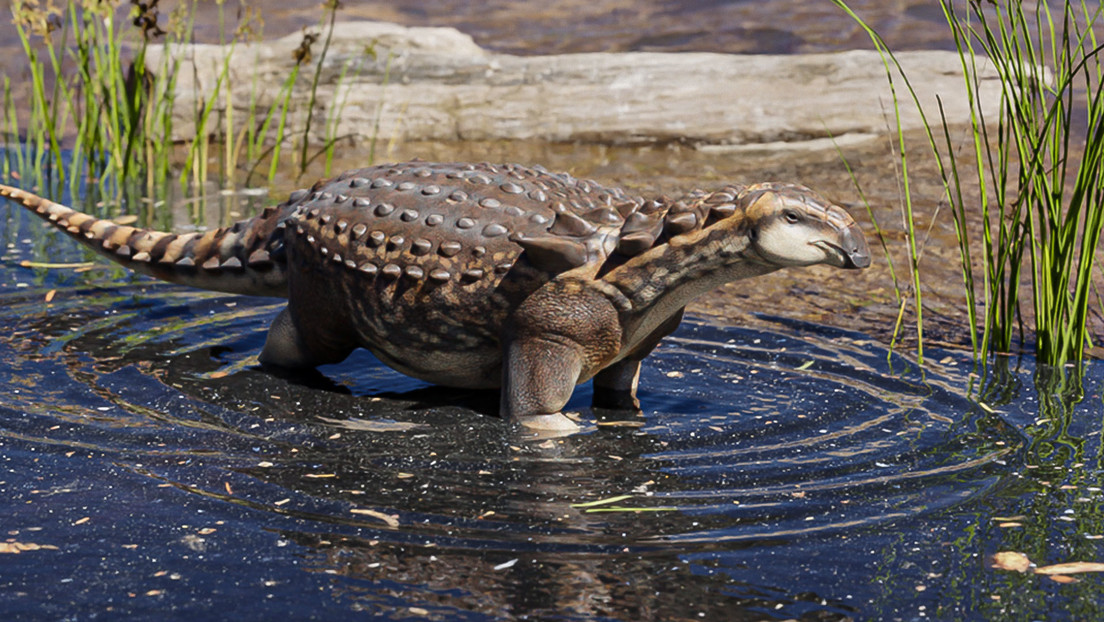 Scientists identifyed a new species of dwarf dinosaur in Argentina (+ Photos)