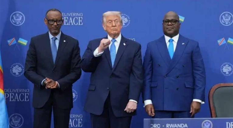 Imagen no encontrada