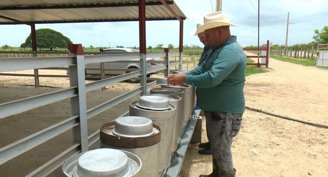 Céspedes en la vanguardia productiva