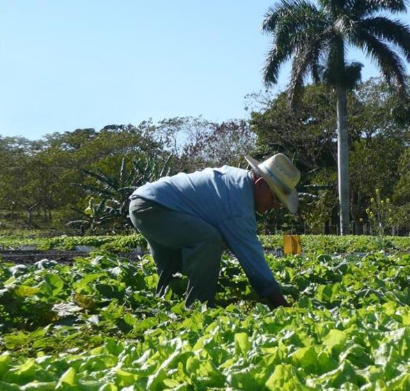 Les 280,2 millions de dollars qui auraient été utiles à Cuba