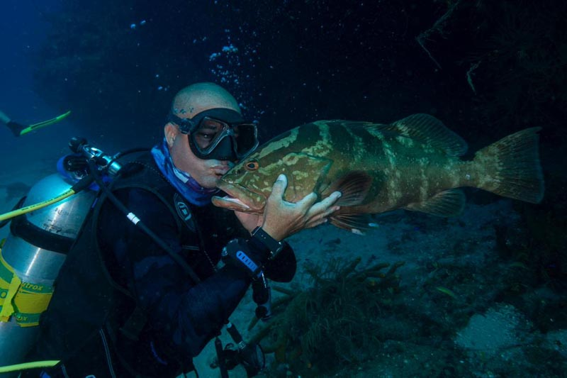  Pasión y respeto por la biodiversidad marina (+ Fotos y Video) 