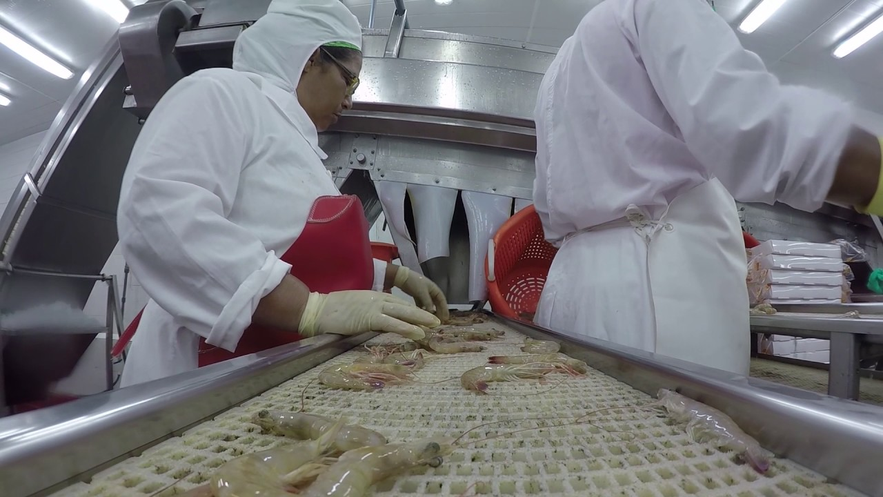 Camagüey siège à l'occasion de la Journée des travailleurs de la pêche 