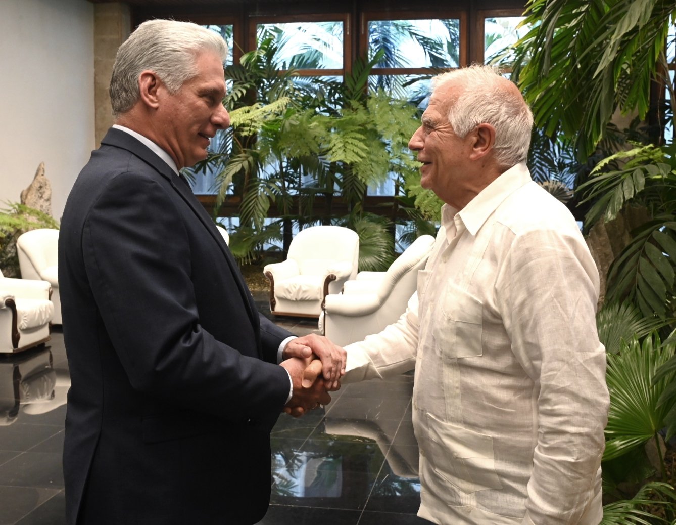 Miguel Díaz-Canel Bermúdez y Josep Borrell Fontelles