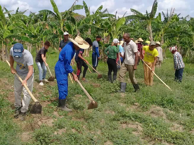 Le secteur de l'éducation de Camagüey soutient la production alimentaire