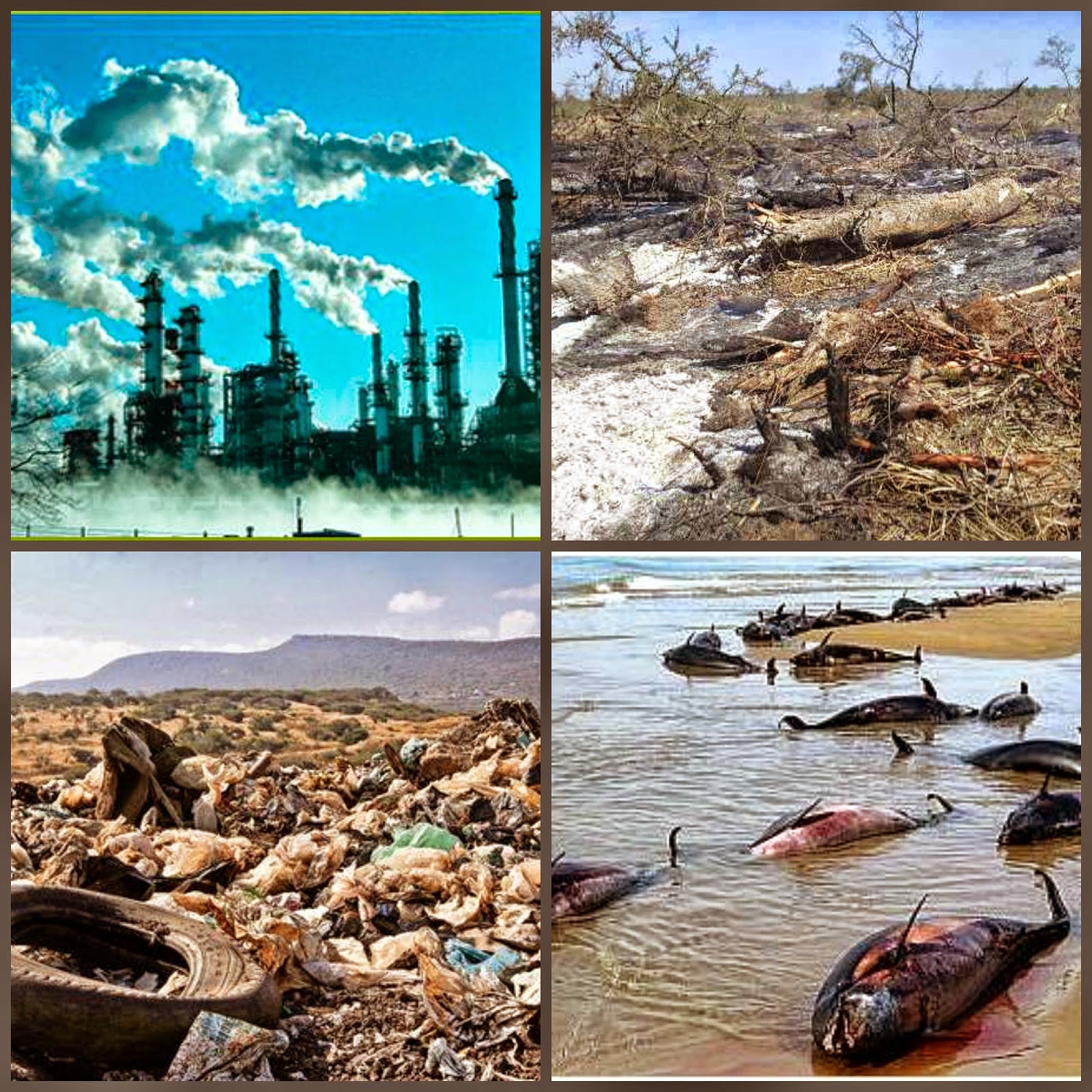 Alert about serious deterioration of planet Earth