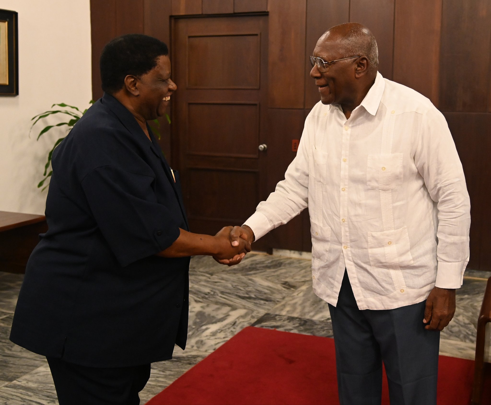 Ratificó Valdés Mesa voluntad de continuar cooperación con Namibia