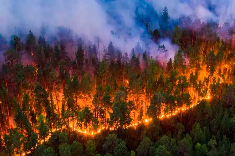 Firefighters enlisted in Paraguay against forest fires