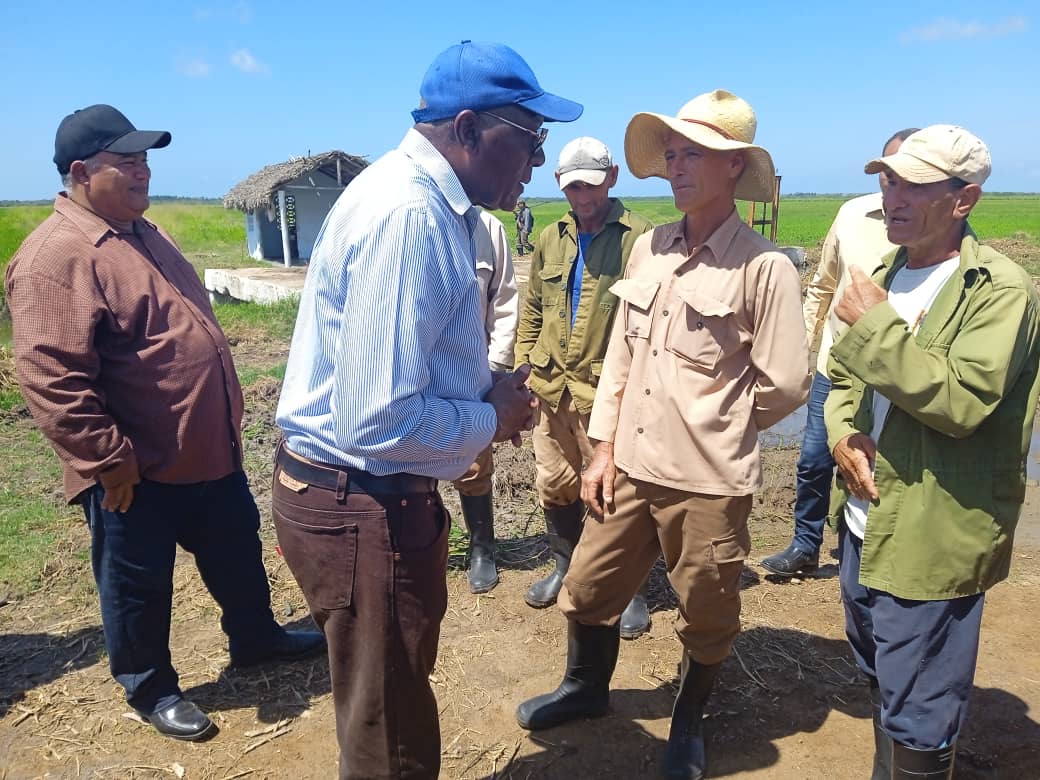 Evalúa en Camagüey Vicepresidente cubano potencialidades de la producción arrocera