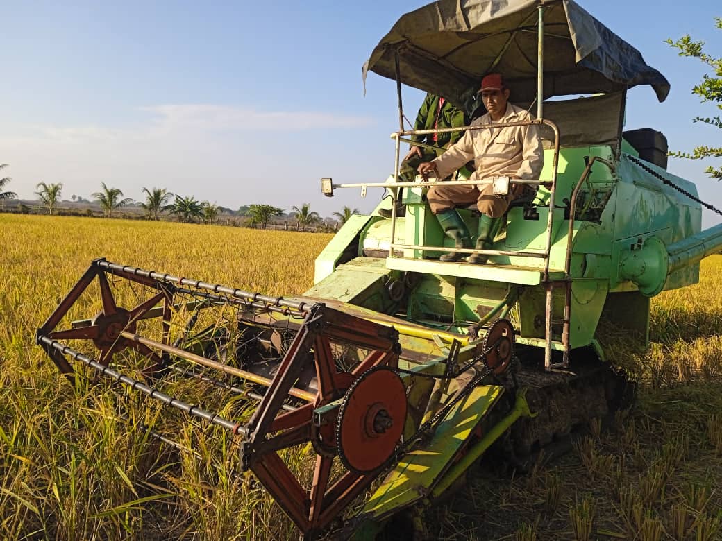 Evalúa en Camagüey Vicepresidente cubano potencialidades de la producción arrocera