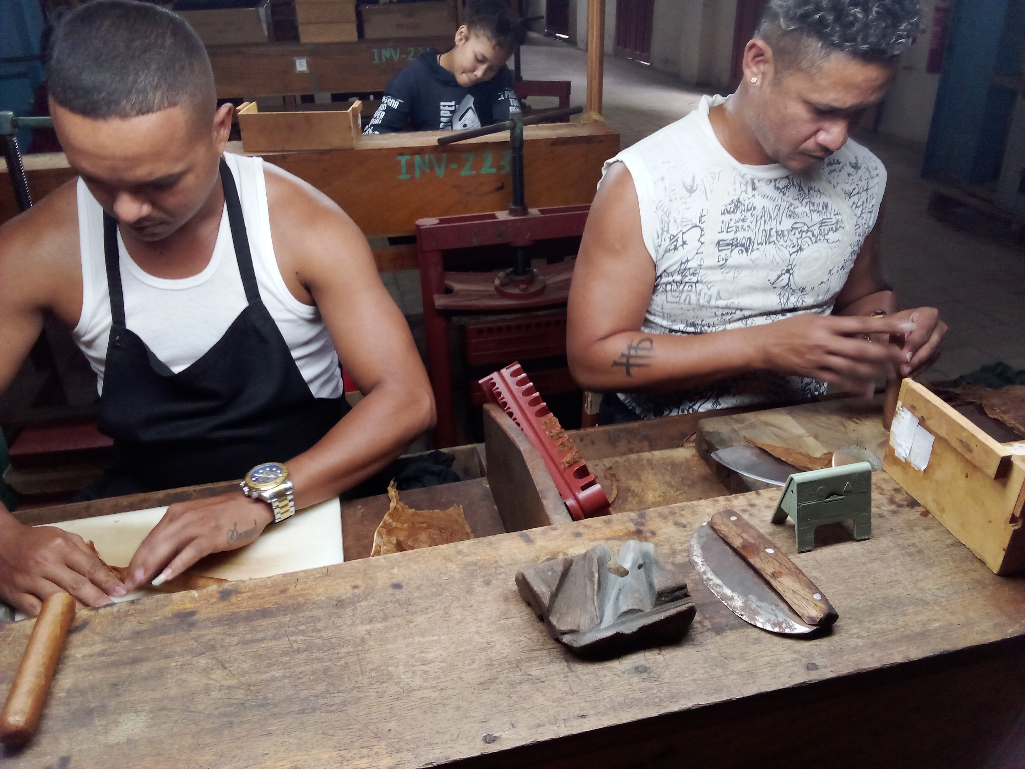 Imagen no encontrada