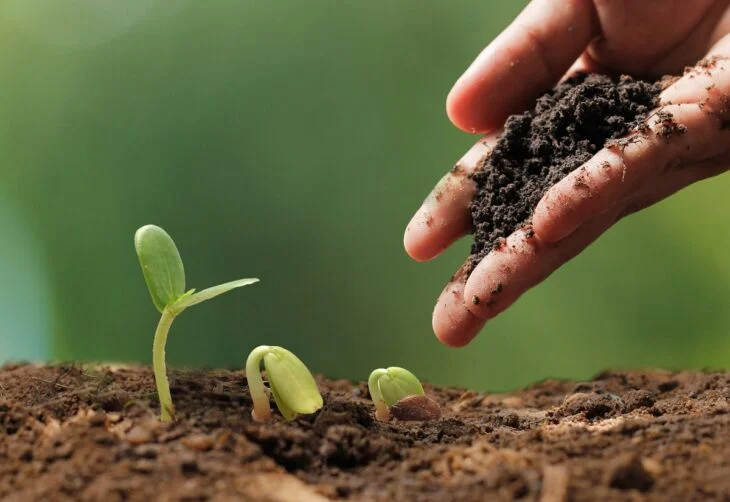 La agroecología en Camagüey: un modelo de producción respetuoso y eficiente