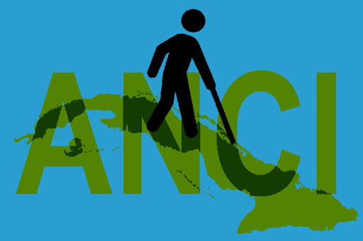 Delegación de Camagüey se alista para Asamblea de la Asociación Nacional del Ciego