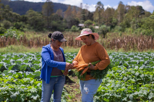 Mujeres camagüeyanas promueven agricultura familiar y desarrollo sostenible