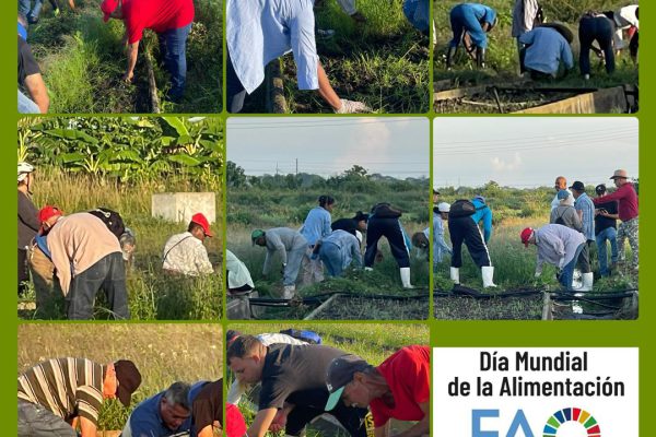 Producir alimentos es la premisa